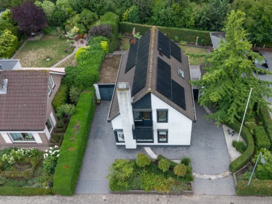 {{brizy_dc_image_alt imageSrc=